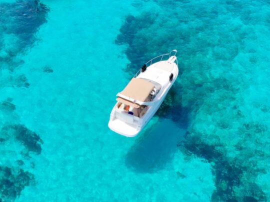 {{brizy_dc_image_alt entityId=