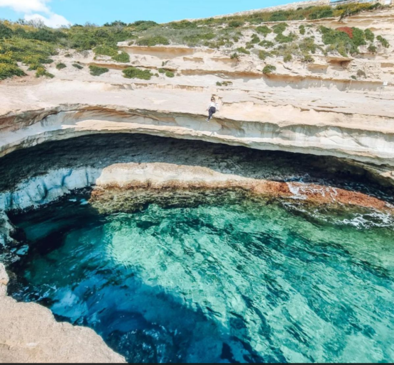 {{brizy_dc_image_alt imageSrc=