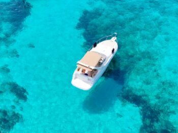 {{brizy_dc_image_alt entityId=